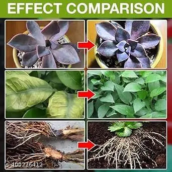 Plant Growth Enhancement Supplement